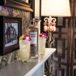 Absolut Elyx Single Estate Handcrafted Vodka -Waterford Store absolut elyx lifestyle 01