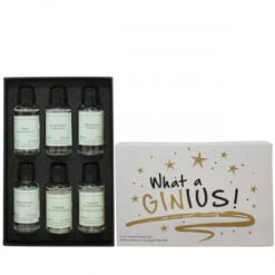 Ginius Gin Gift Set -Waterford Store giftbox ginius insideshot gin ps