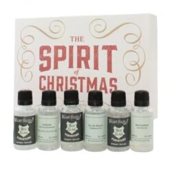 Spirit Of Christmas Gin Gift Set