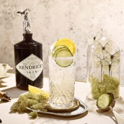 Hendrick's Gin -Waterford Store hendricks gin lifestyle 04