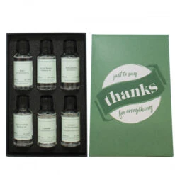 Thanks For Everything Gin Gift Pack -Waterford Store thanks for everything gin ps2